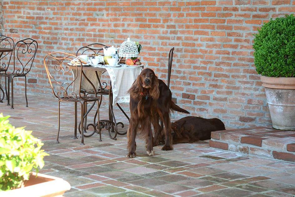 Tenuta Degli Angeli Rossi Asti Exteriör bild